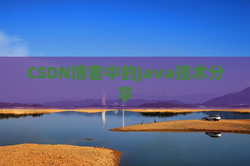 CSDN博客中的Java技术分享